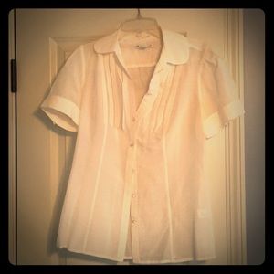 Sheer Banana Republic blouse